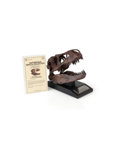 Детские фигурки Master Replicas The Nation's T-Rex Smithsonian 1:10 Scale 6" Skull Replica, 14 Years & Up, цвет: Assorted Pre-Pack
