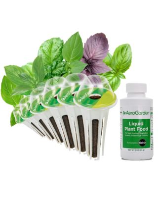 Macy's - International Basil 6-Pod Seed Kit