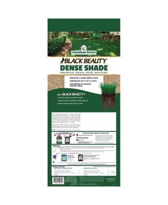 Black Beauty Dense Shade Grass Seed Mix, 25lb bag