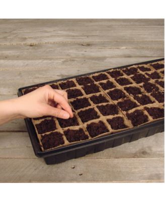 Seed Starter Greenhouse, Grows 50 Seeds