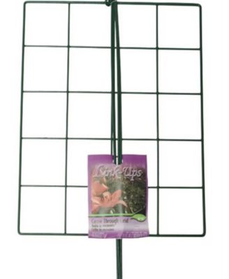 Luster Leaf Inc