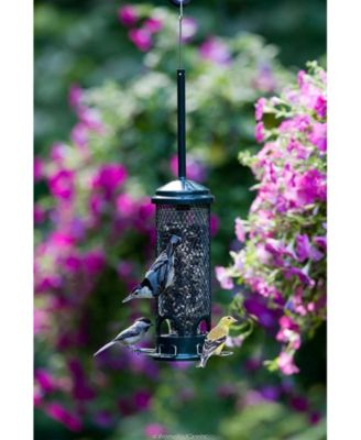 Squirrel Buster Mini Wild Bird Feeder, 11.5-inches