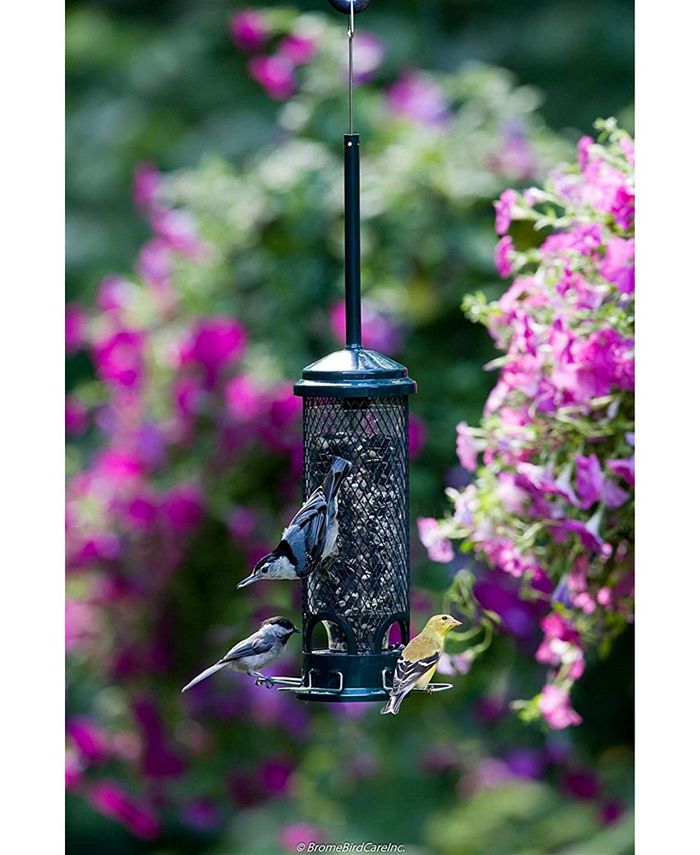 Brome Squirrel Buster Mini Wild Bird Feeder, 11.5inches Macy's