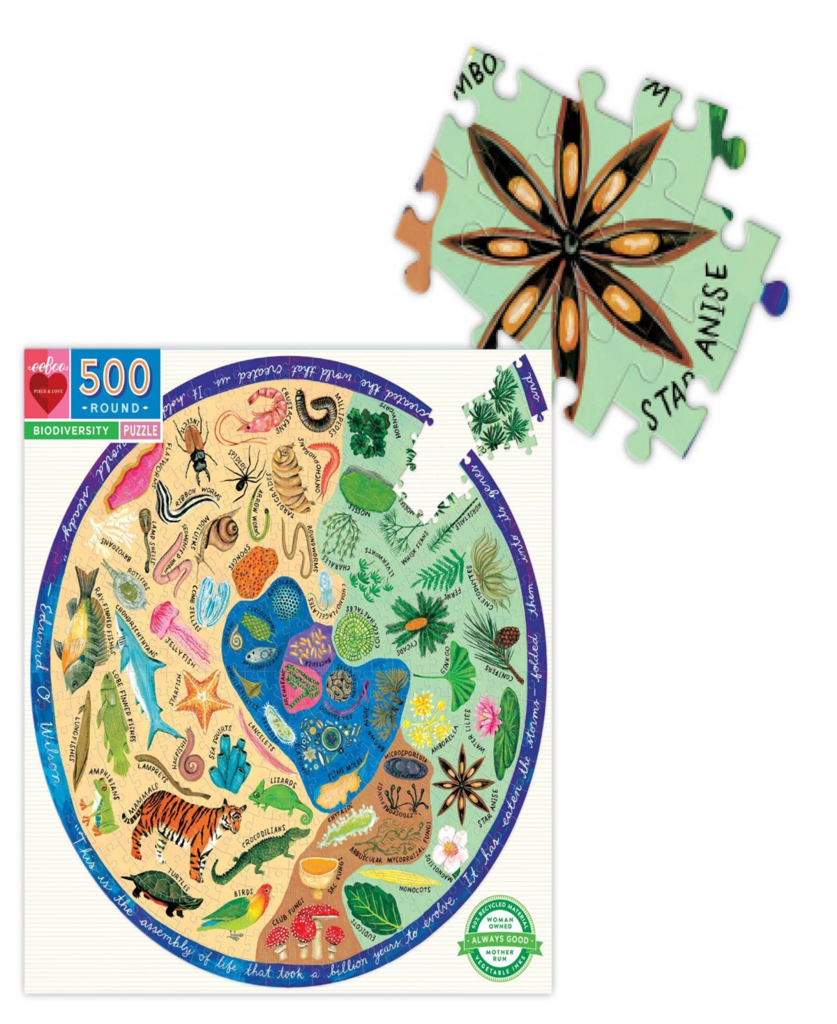 Eeboo Piece And Love Biodiversity 500 Piece Adult Round Jigsaw Puzzle Set In Multi