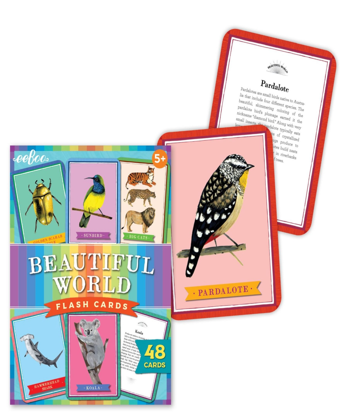 Shop Eeboo Beautiful World Educational Flash Cards 48 Piece Set In Multi
