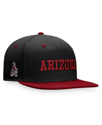 Fanatics