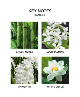 2-Pc. Bamboo Wall Diffuser Refills Set