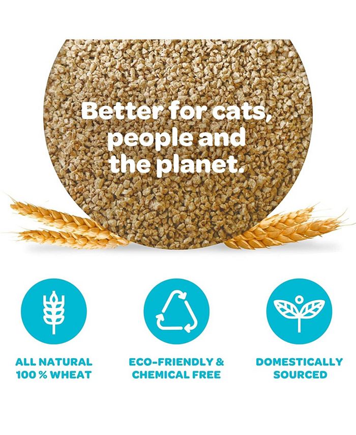 Swheat Scoop Cat Litter Regular Case of 1 12 lb. Macy's