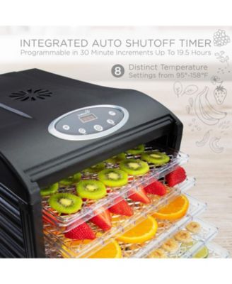6 Plastic Tray Food Dehydrator for Snacks, Jerky, and More
