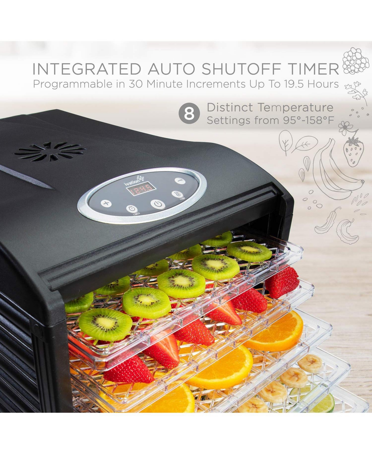Ivation 6 Plastic Tray Food Dehydrator for Snacks, Jerky, and More