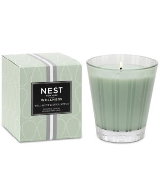 Wild Mint Eucalyptus Candle Collection