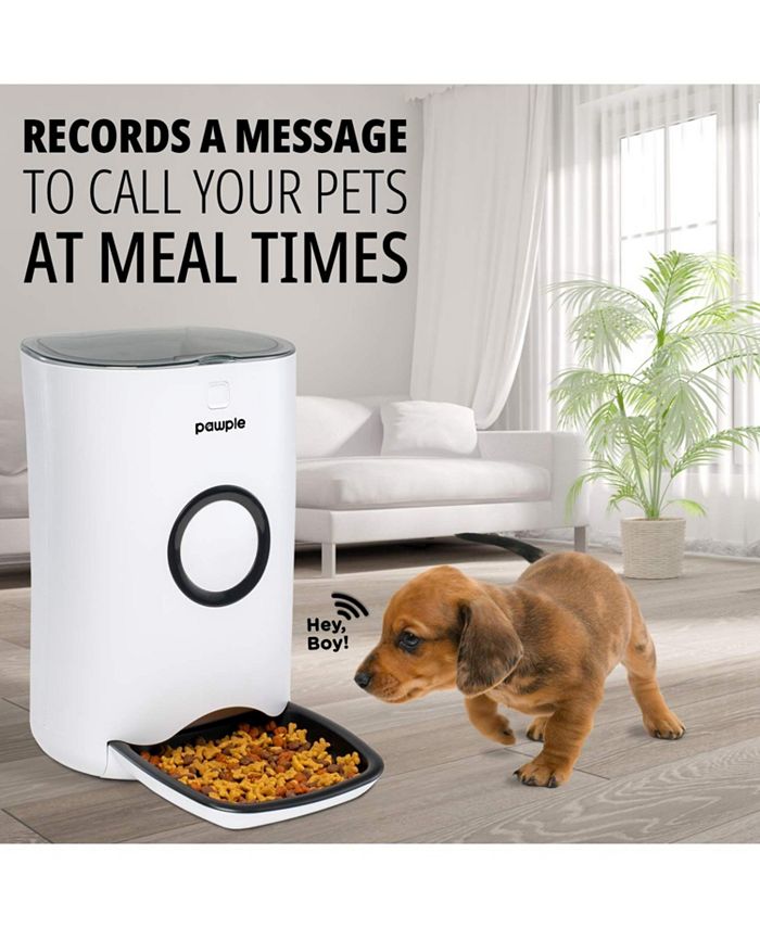 Pawple Automatic Pet Feeder, Food Dispenser for Cats & Dogs with Timer