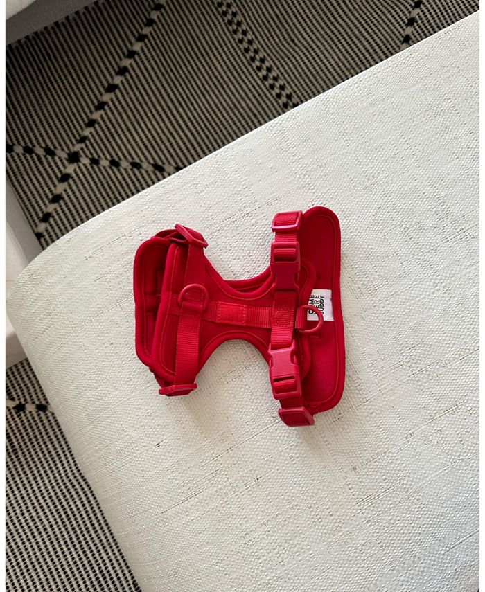 Come Here Buddy Dog Harness Macy's