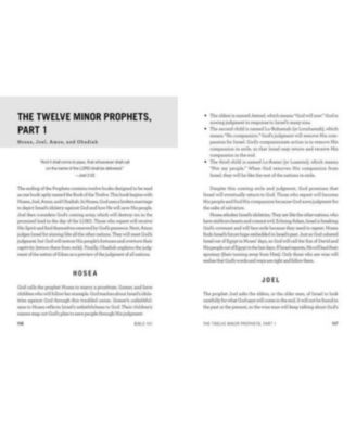 Bible 101: from Genesis And Psalms to the Gospels And Revelation, Your Guide to the Old and New Testaments by Edward D. Gravely Phd