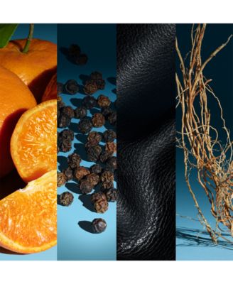 Calvin Klein Men's Defy Eau de Parfum Fragrance Collection