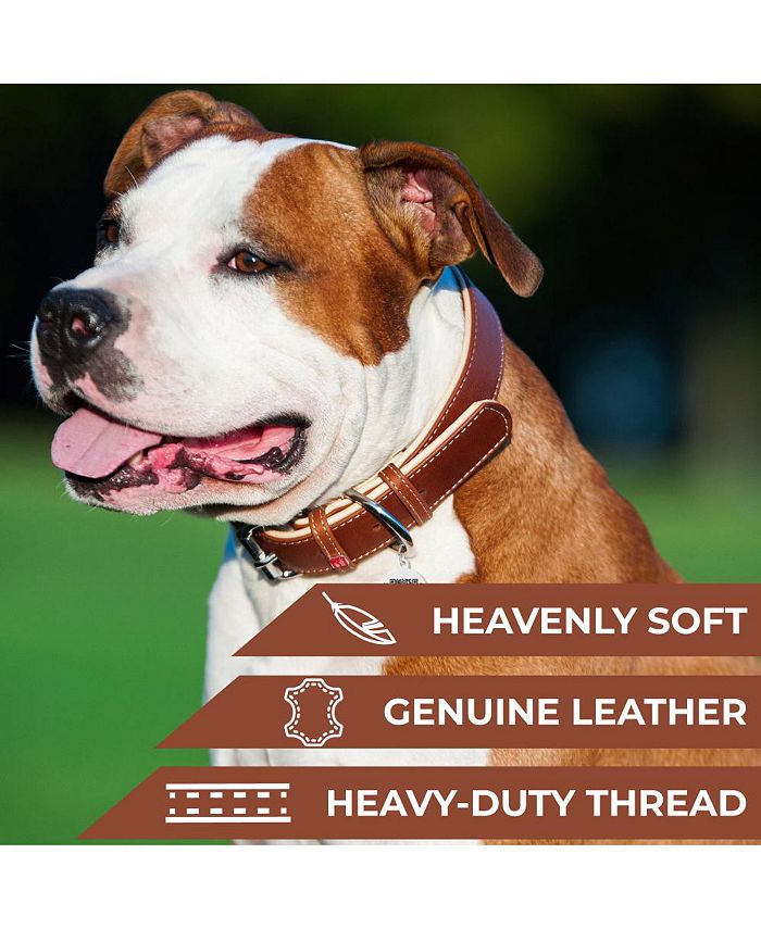 Waudog Soft genuine leather dog collar with QR passport Macy's