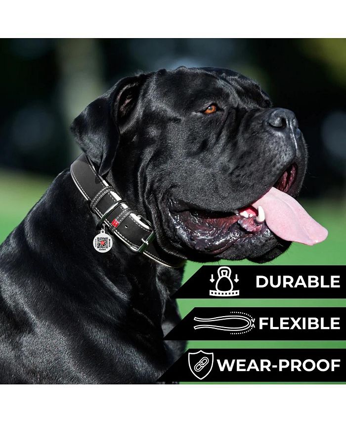 Waudog Soft genuine leather dog collar with QR passport Macy's