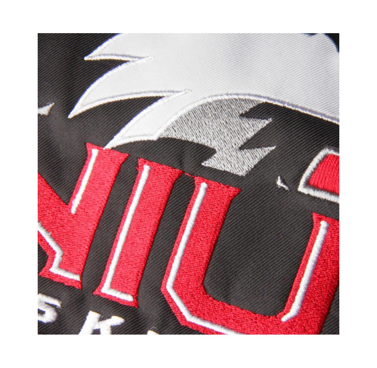 Women's Red Northern Illinois Huskies Big Logo Pullover Hoodie
