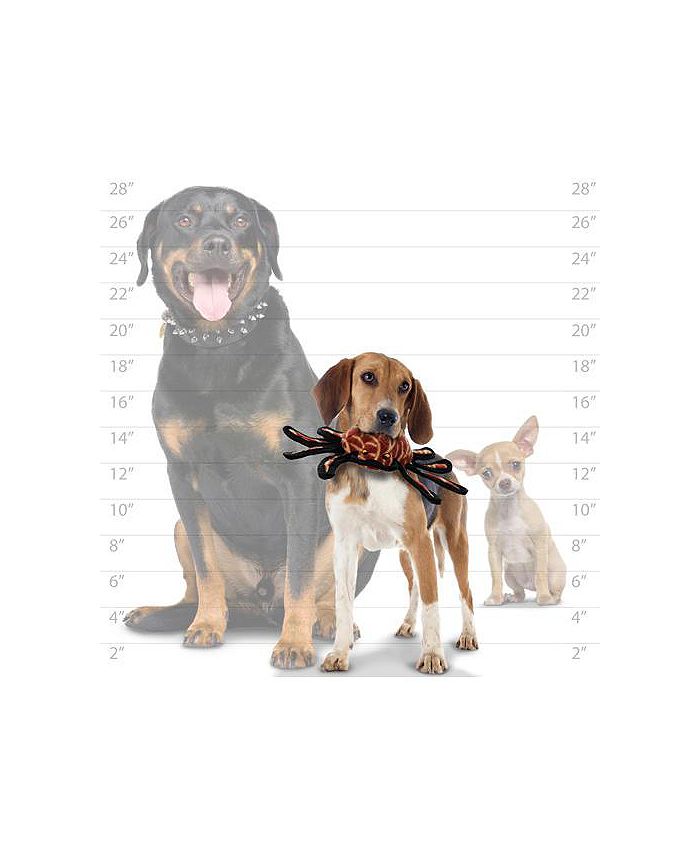 Tuffy Desert Spider, 2Pack Dog Toys Macy's
