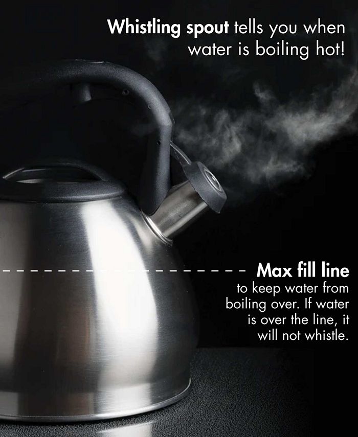 Primula Stainless Steel 3 Quart Cascade Whistling Stovetop Tea Kettle