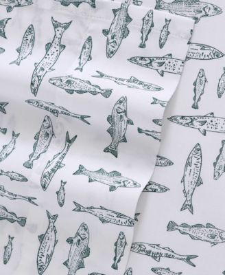 Printed 100% Cotton Percale 3-Pc. Sheet Set, Twin