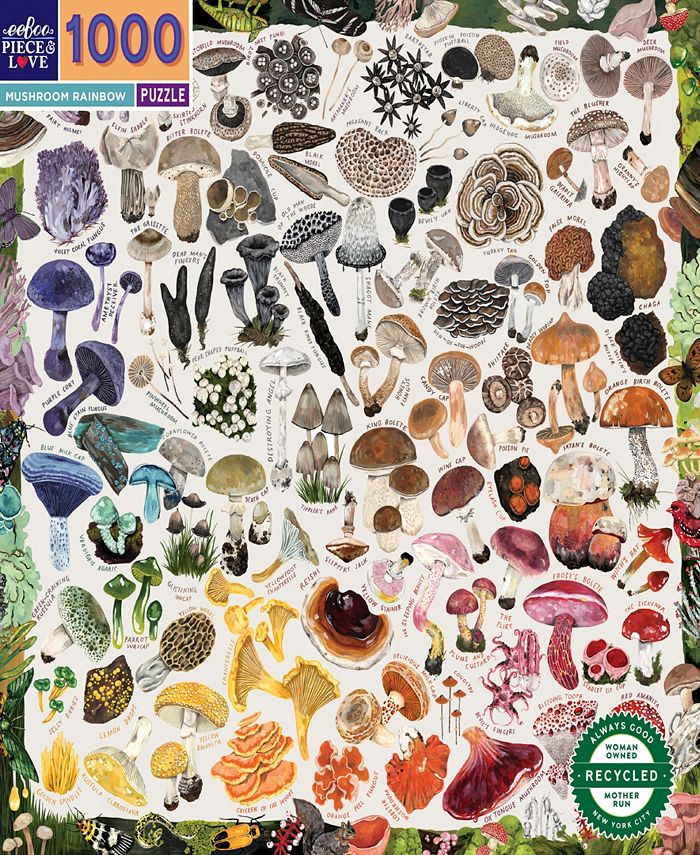 A Rainbow World 1000 Piece Jigsaw Puzzle EeBoo New