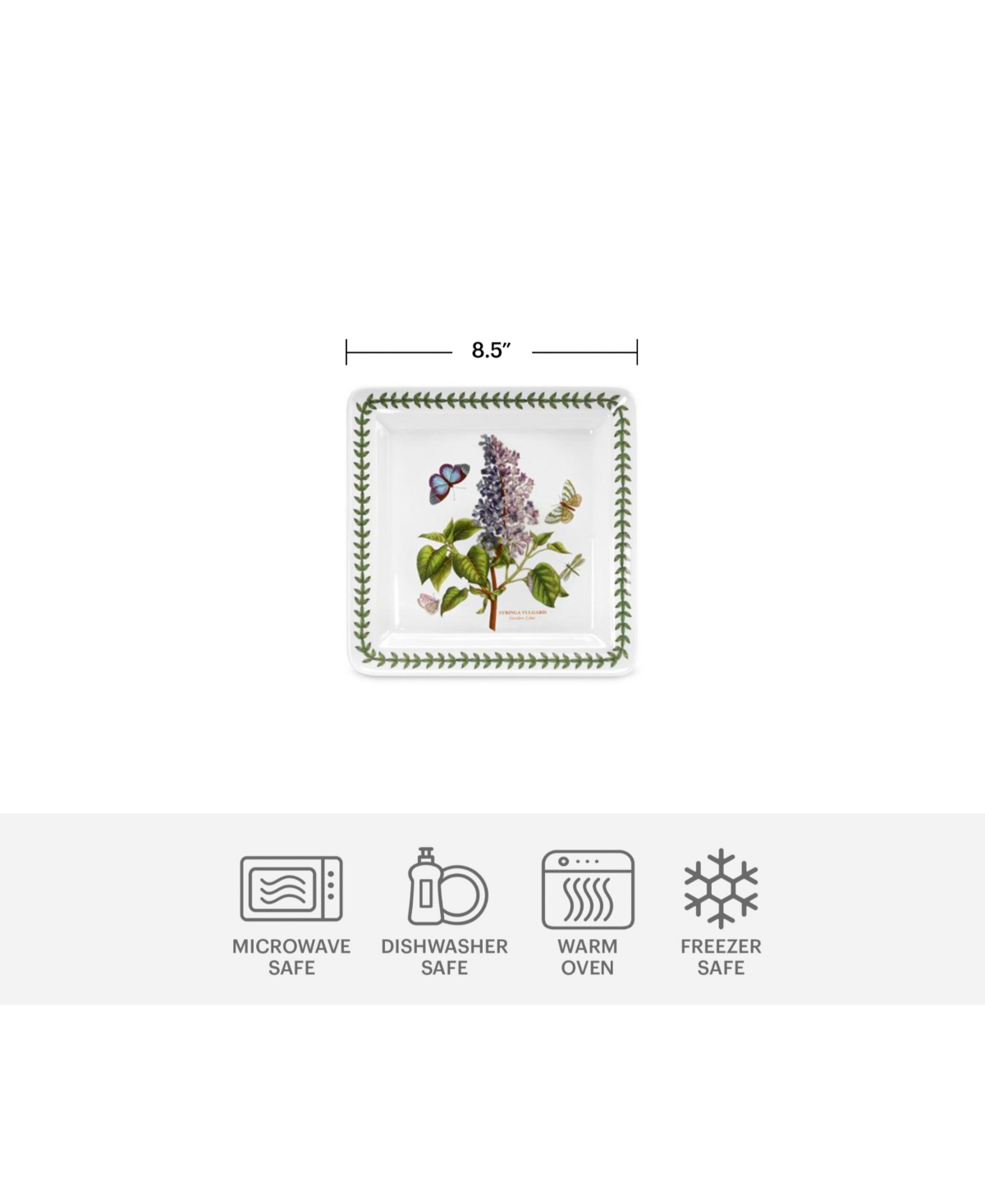 Portmeirion Dinnerware, Botanic Garden Square 12 Piece Set, Service for 4