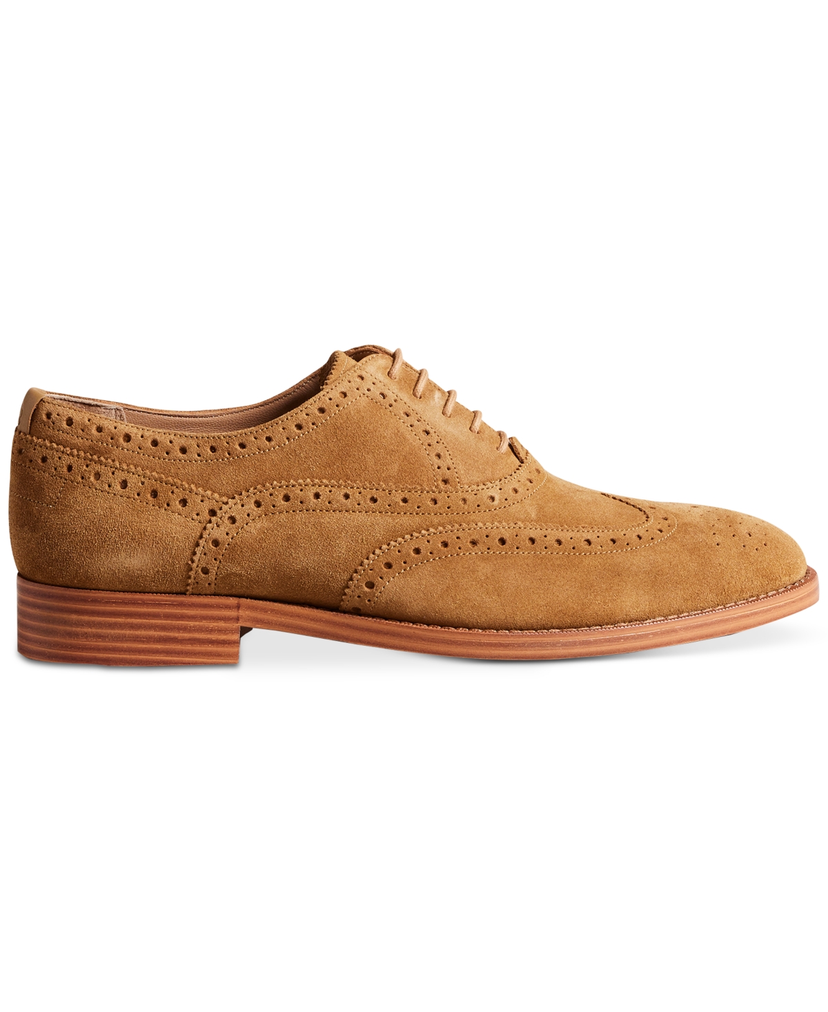 Ted Baker Mens Tan Ammais Perforated Suede Brogues