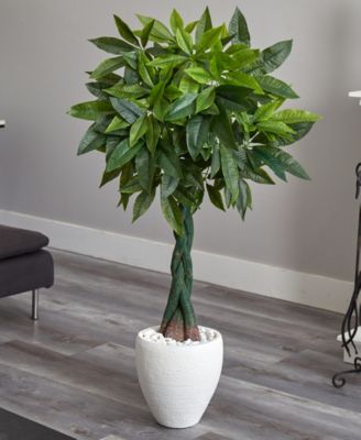 5' Money Artificial Tree in White Oval Planter