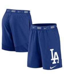 Nike Statement Ballgame (MLB Detroit Tigers) Men's Shorts.