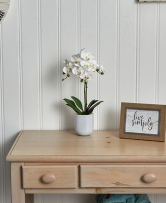 Phalaenopsis Orchid in Frosted Glass