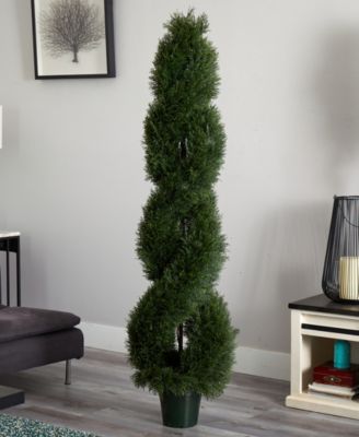 Double Pond Cypress Spiral Indoor/Outdoor Topiary