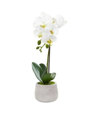 Phalaenopsis Orchid Artificial Arrangement (Set of 2)