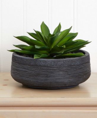 Large Succulent Artificial Plant in Decorative Bowl
