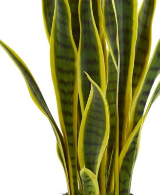 26-In. Sansevieria Artificial Plant