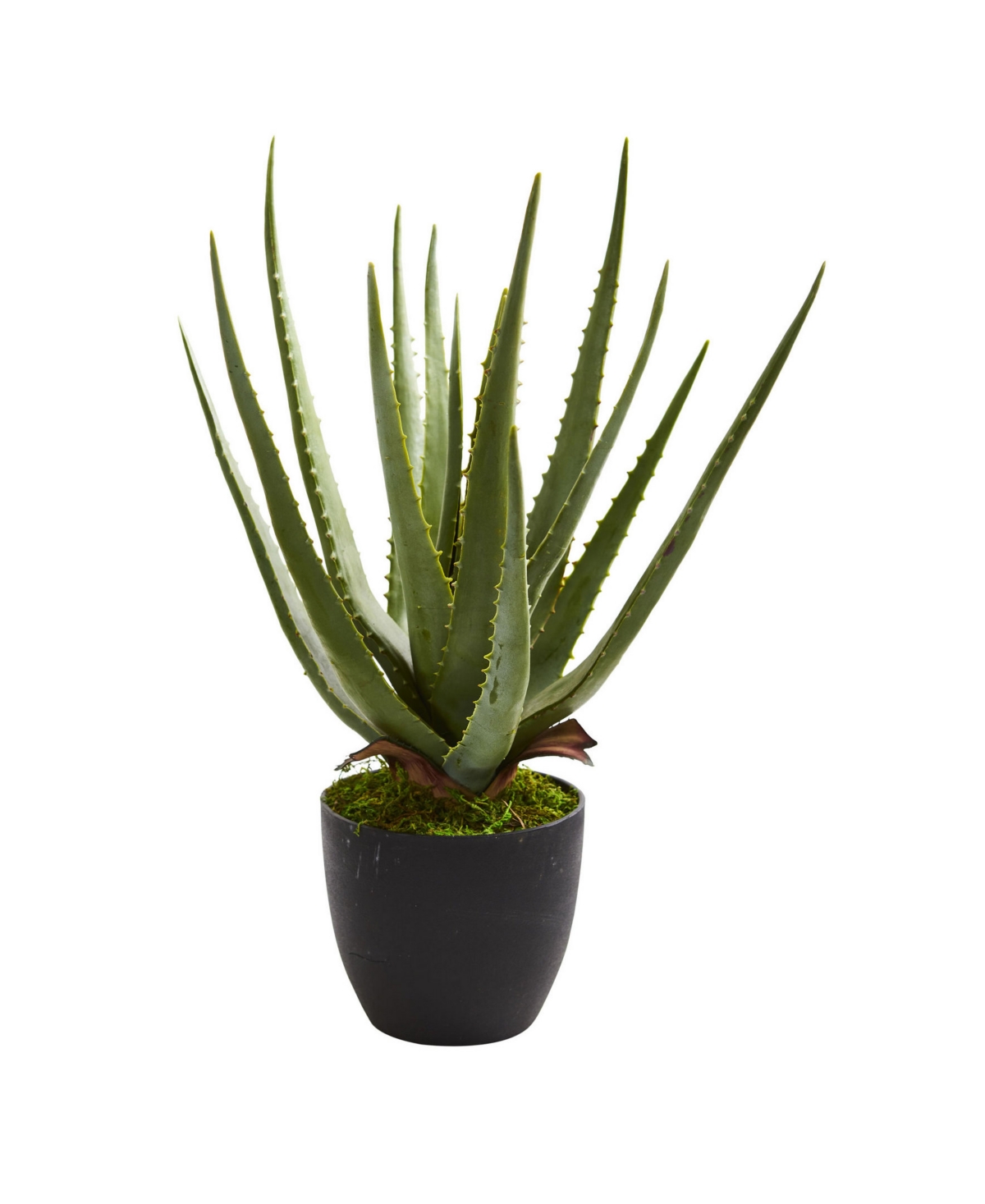 Shop Nearly Natural Aloe Artificial Plant, Set Of 2 In Green