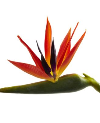 38-In. Large Bird of Paradise Artificial Flower, Set of 4