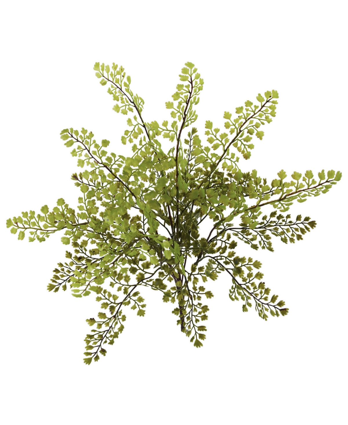 Nearly Natural Maiden Hair Artificial Plant, Set of 12