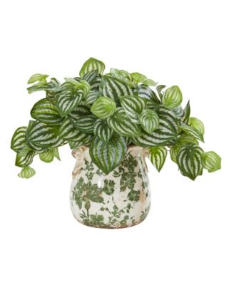 Watermelon Peperomia Artificial Plant in Vase (Real Touch)