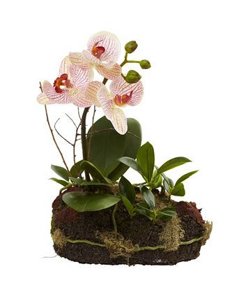 Nearly Natural - 2-Pc. Orchid Island Artificial Arrangement Set