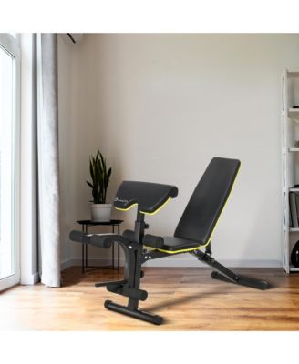 Multi-Functional Sit-Up Dumbbell Bench Adjustable Seat and Back Angle