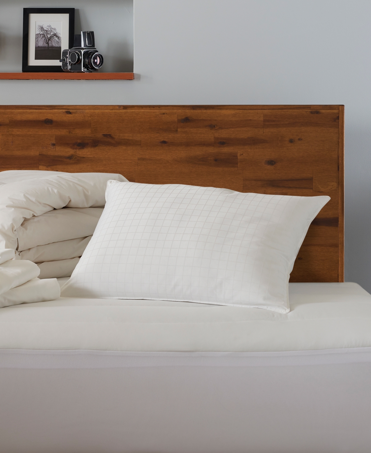 Ella Jayne 100% Cotton Dobby-Box Shell Density Side/Back Sleeper Down Alternative Pillow,