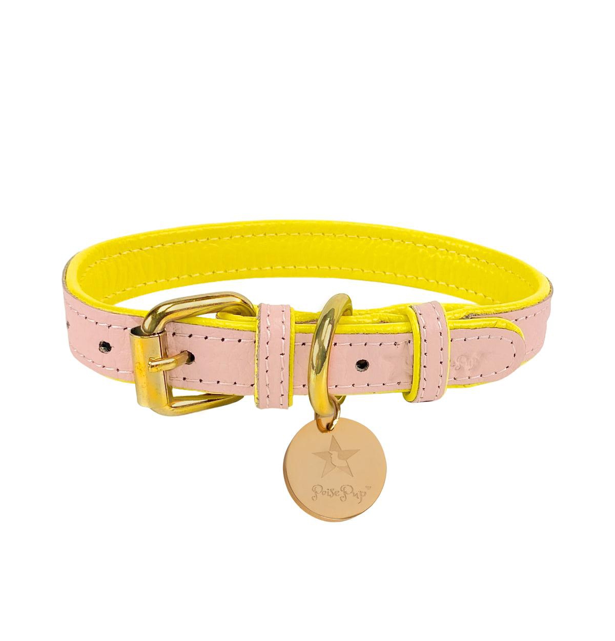 Pet Dog Collar - Sweetest Thing - Sweetest thing