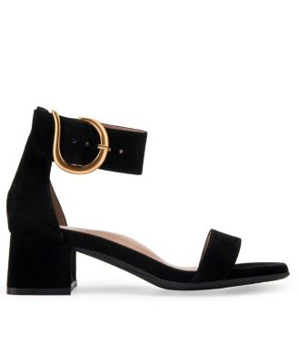 Aerosoles