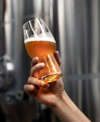 Craft Brew 2 Piece IPA Glass Set, 16 oz