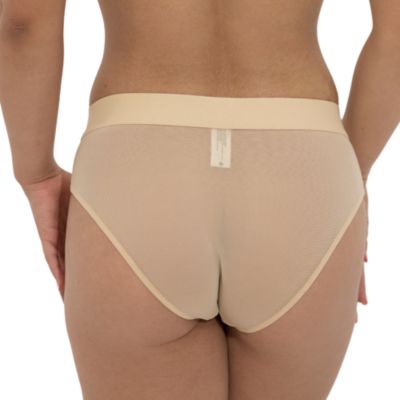 Women's Nude Shade Mesh Hipster Bikini Panty