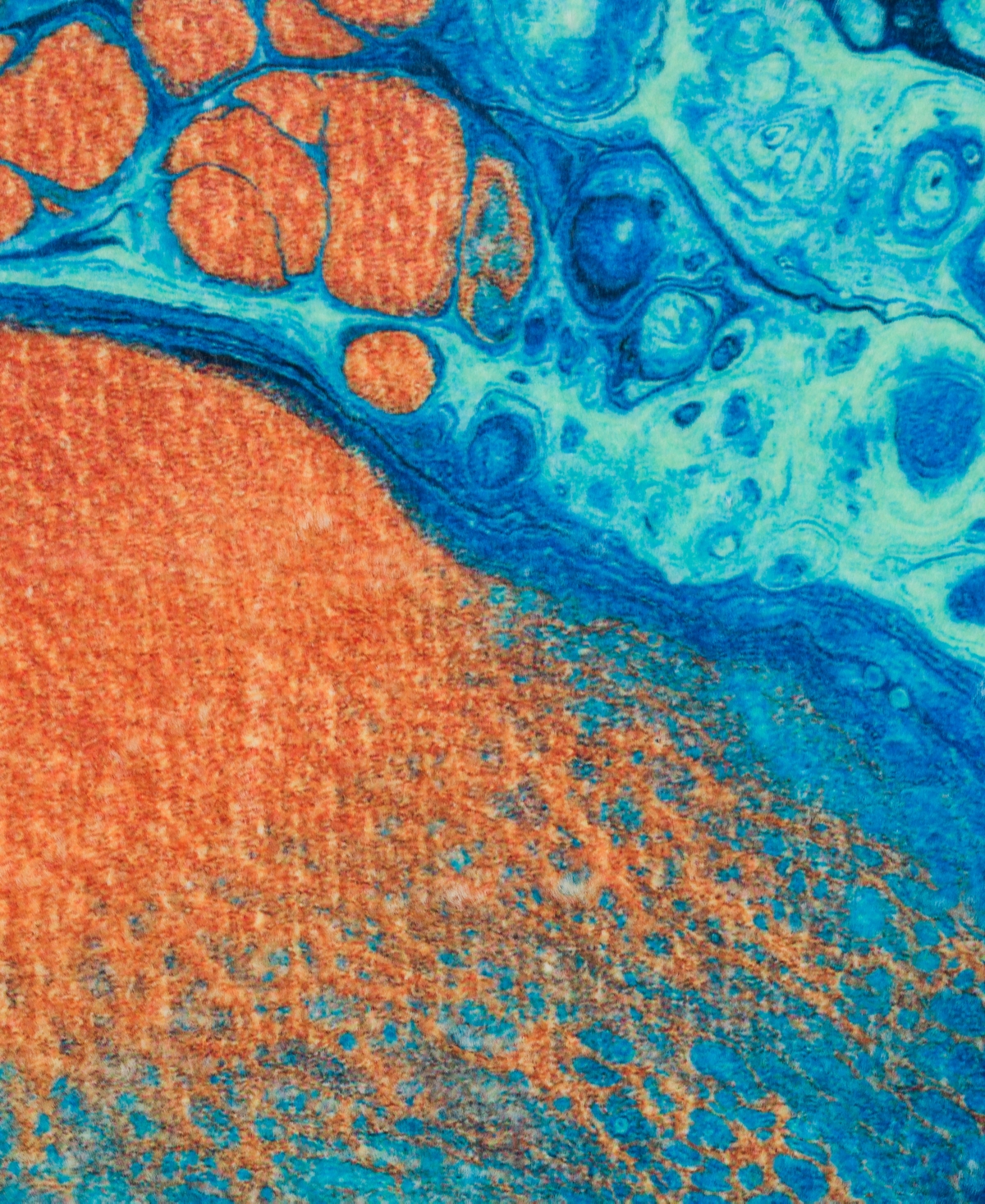 Dalyn Kikiamo KK8 Area Rug