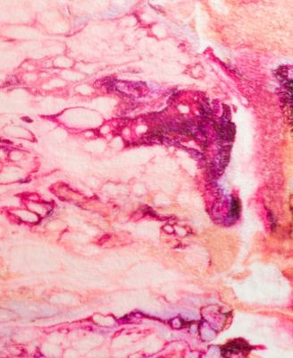 Kikiamo Washable KK16 8' x 10' Area Rug