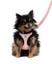 Coach Dog Collar Macy s
