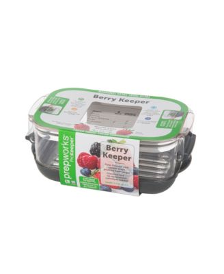 Prokeeper Berry Produce Storage Container